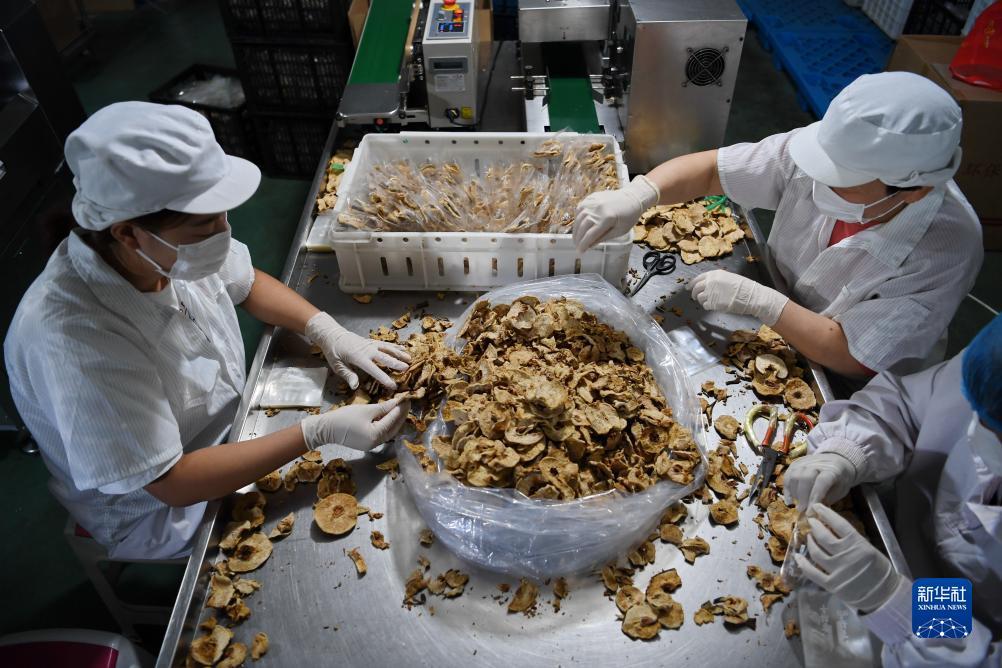 奔驰宝马娱乐官方网站